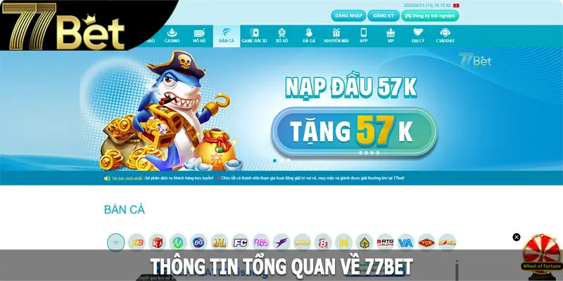 Thông tin tổng quan về 77Bet