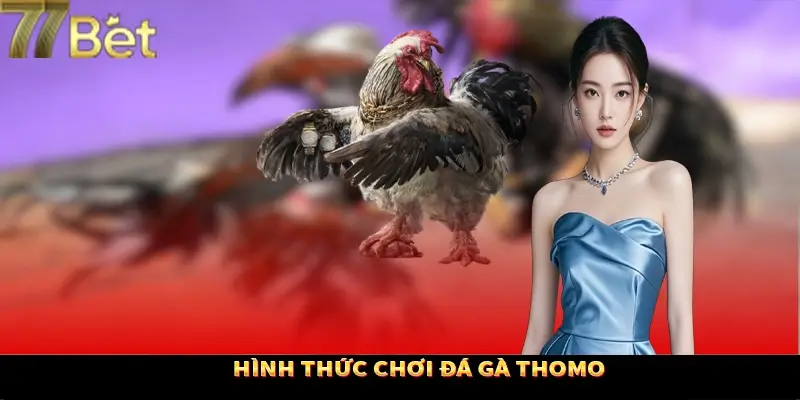 Các loại hình chọn gà trực tuyến tại 77Bet được yêu thích Các loại hình chọn gà trực tuyến tại 77Bet được yêu thích