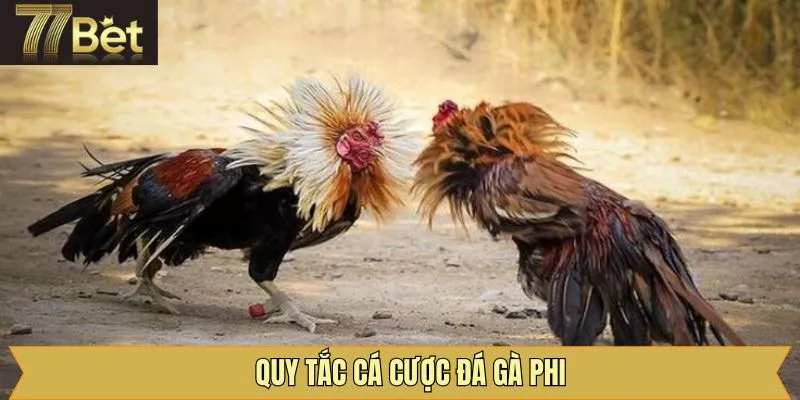 Quy định khi tham gia chọi gà Phi