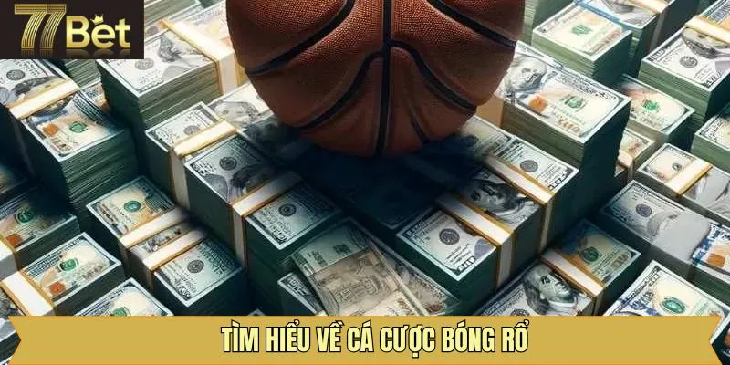 Tổng quan về sức hút đỉnh cao của bóng rổ