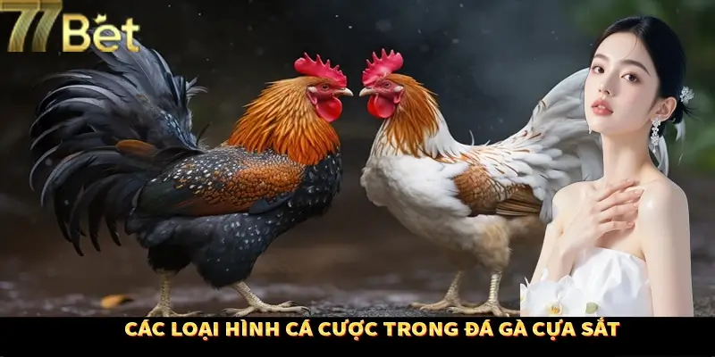 Các kiểu cựa gắn cho chiến kê trong đá gà cựa sắt Các kiểu cựa gắn cho chiến kê trong đá gà cựa sắt