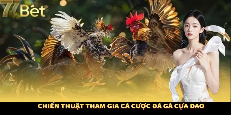 Kinh nghiệm cược chọi kê tăng cơ hội thắng Kinh nghiệm cược chọi kê tăng cơ hội thắng