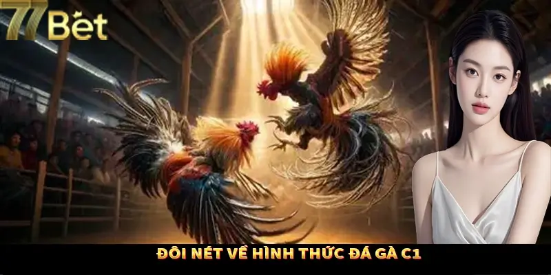 Tổng quan thông tin về loại hình đá kê C1 Tổng quan thông tin về loại hình đá kê C1